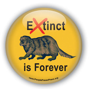 Extinct is Forever - Wolverine Conservation Button/Magnet