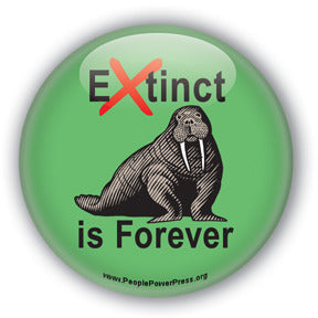 Extinct is Forever  - Walrus Button/Magnet