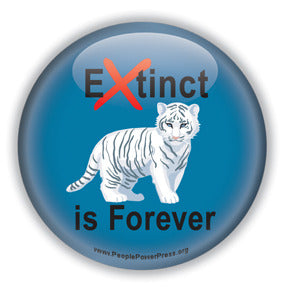Extinct is Forever - Siberian Tiger Conservation Button/Magnet