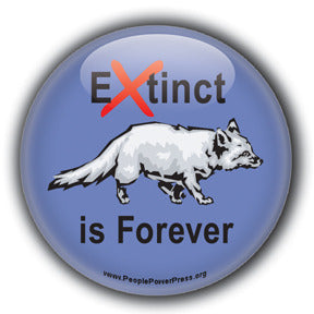 Extinct is Forever  - Silver Fox Button/Magnet