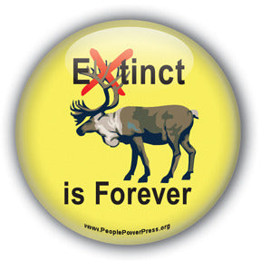Extinct is Forever - Caribou Button/Magnet