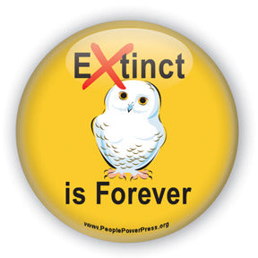 Extinct is Forever - Snowy Owl Button/Magnet