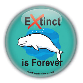 Extinct is Forever - Beluga Whale Button/Magnet