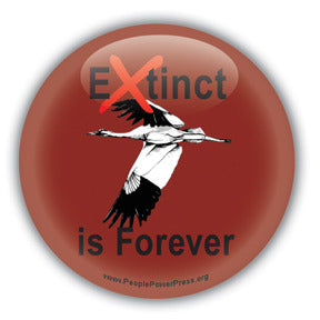 Extinct is Forever - Whooping Crane Button/Magnet