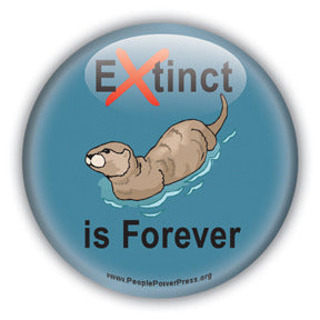 Extinct is Forever - Otter Button/Magnet