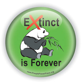 Extinct is Forever - Panda Bear Button/Magnet
