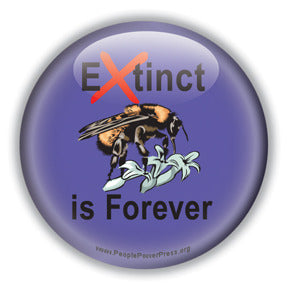Extinct is Forever - Honey Bee Button/Magnet