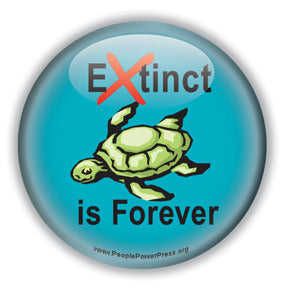 Extinct is Forever - Sea Turtle Button/Magnet