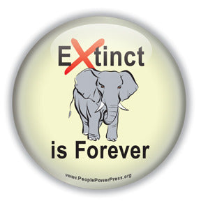 Extinct is Forever - Elephant Button/Magnet