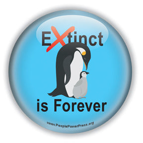 Extinct is Forever - Penguin Conservation Button/Magnet