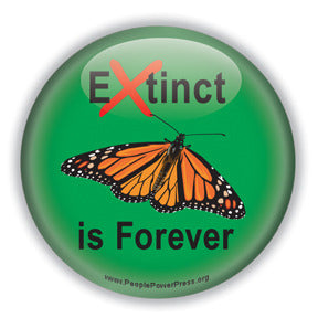 Extinct is Forever - Monarch Conservation