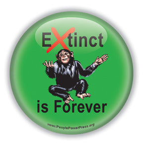 Extinct is Forever - Chimpanzee Conservation Button/Magnet