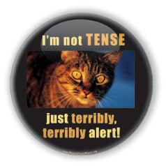 I'm Not Tense!! - Cats & Dogs