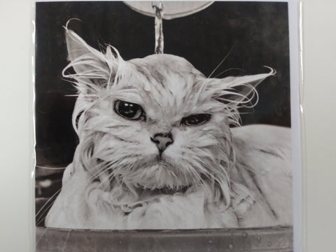 Miserable Cat Getting A Bath Greeting Card