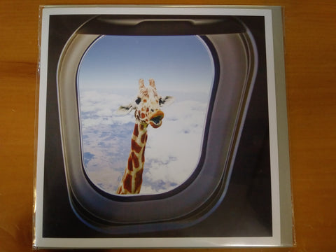 Hilarious Giraffe in Airplane Window Occasion Card
