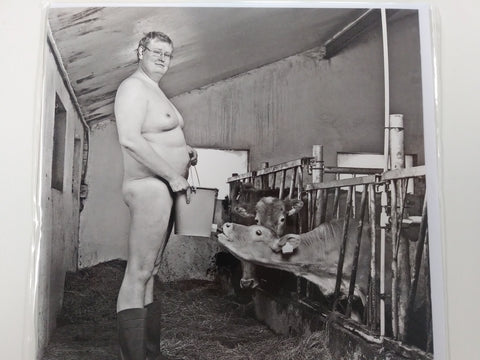 Twisted Humour Naked Man With Cows Greeting Card