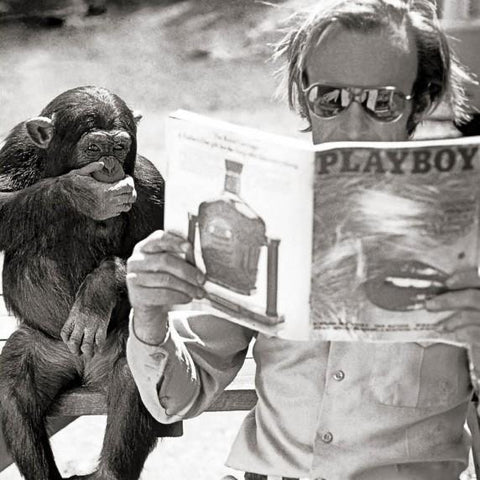 Chimpanzee And Playboy Magazine Greeting Card