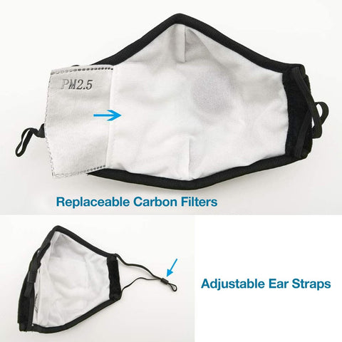 Replaceable Carbon Mask Filters
