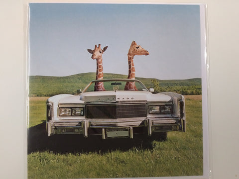 Giraffes in Cadillac Greeting Card 6 x 6