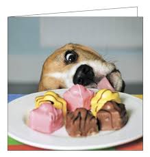 Beagle With A Sweet Tooth 6 x 6 Blank Card