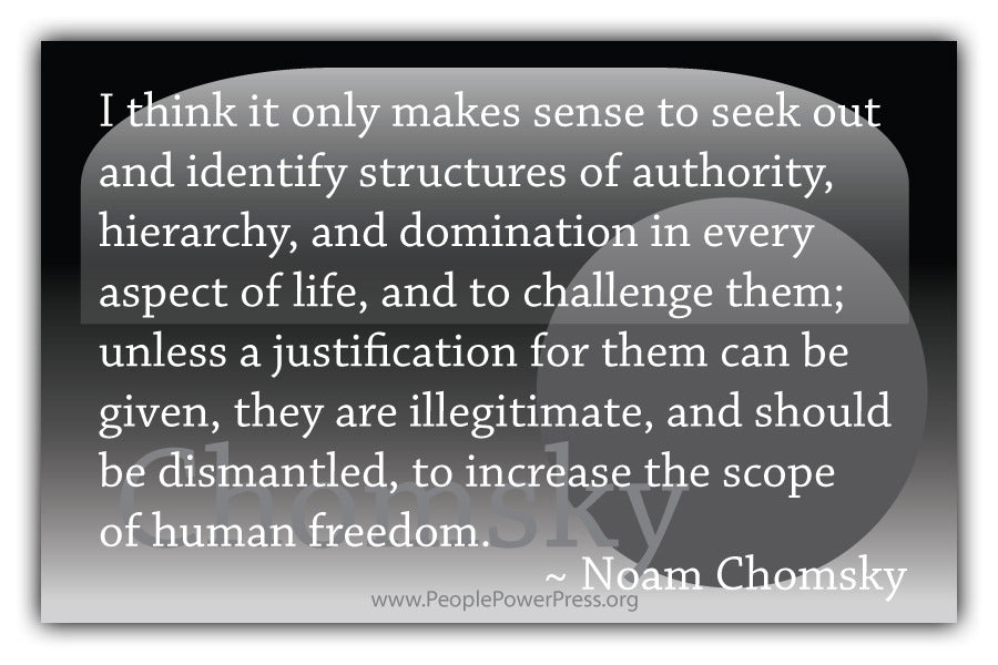 Noam Chomsky Quote - I think it only makes sense to seek out and identify structures.... - Black