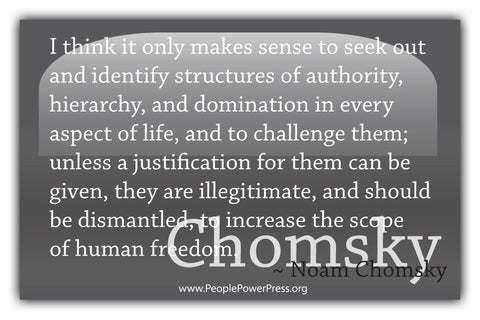 Noam Chomsky Quote - I think it only makes sense to seek out and identify structures.... - Grey