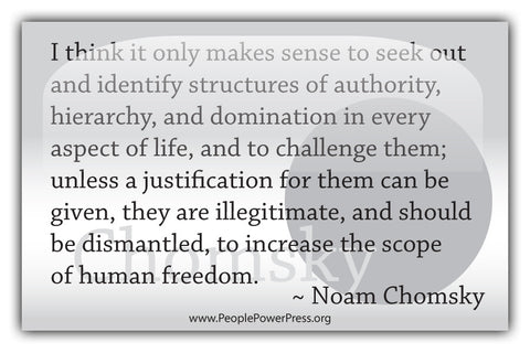 Noam Chomsky Quote - I think it only makes sense to seek out and identify structures.... - White