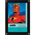 CLEARANCE: Comic Book display case - Wall mounted Display Frame for comics