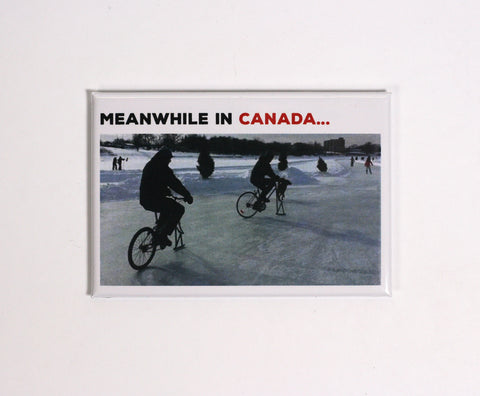 fun canadian souvenir magnet