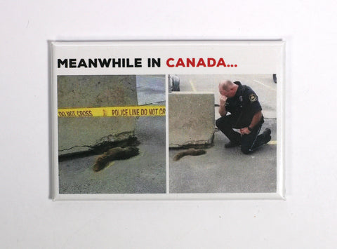 meanwhile in canada fridge magnet